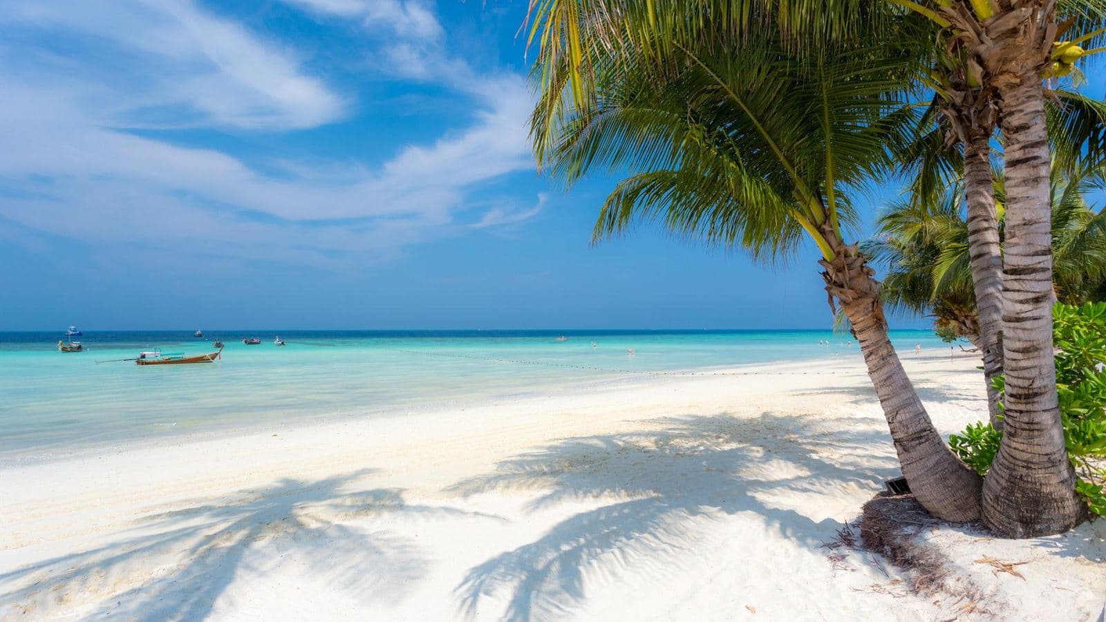 beach-beach