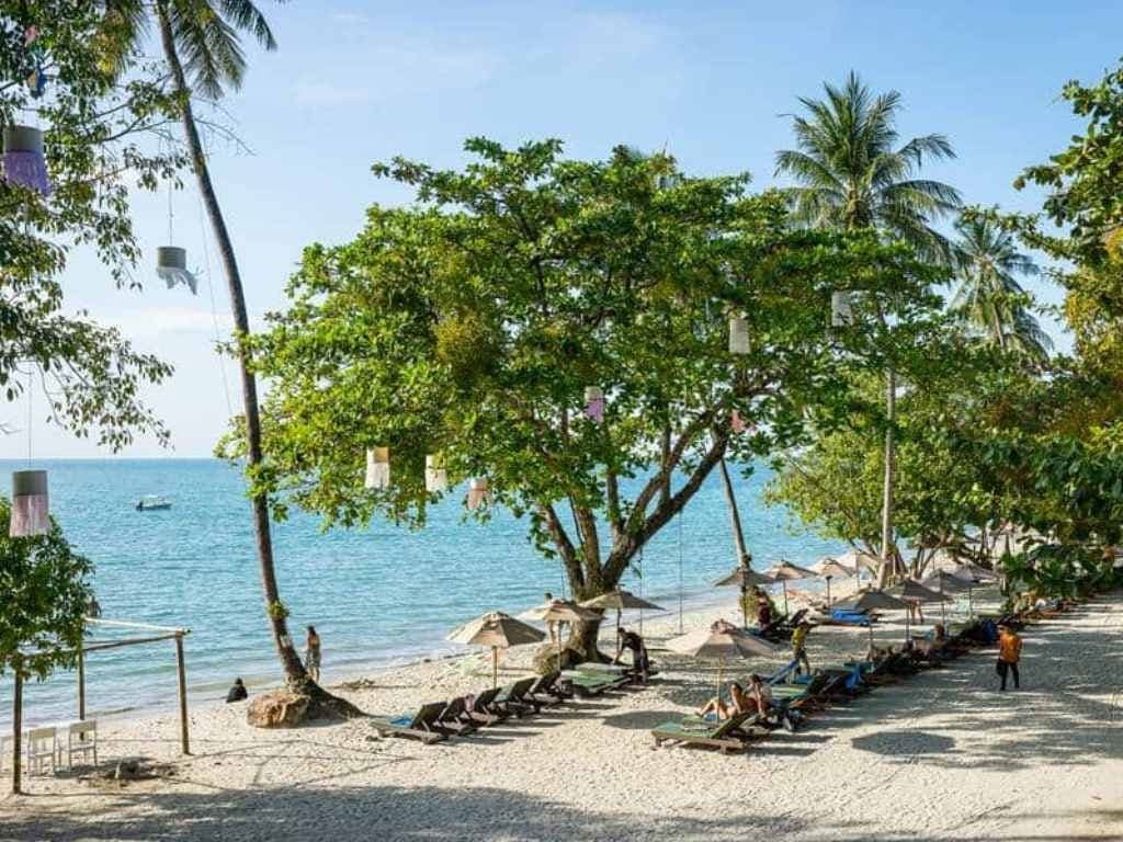 beach-beach