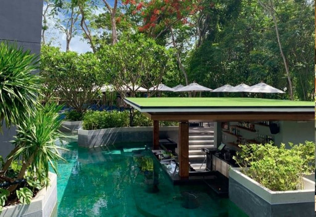 bars-jungle-bar