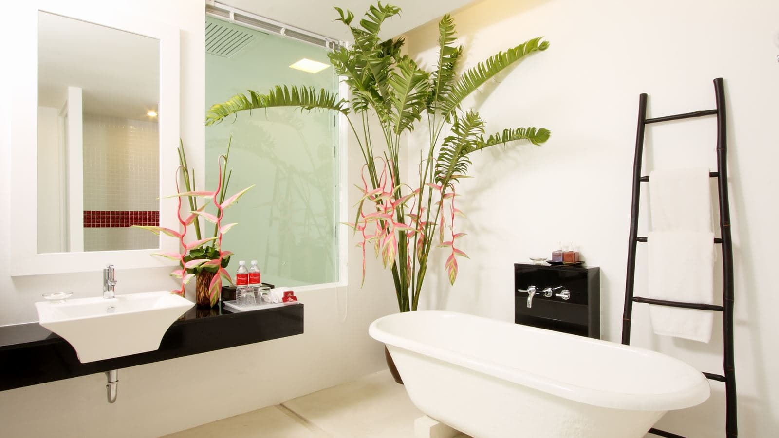 rooms-deluxe-pool-access