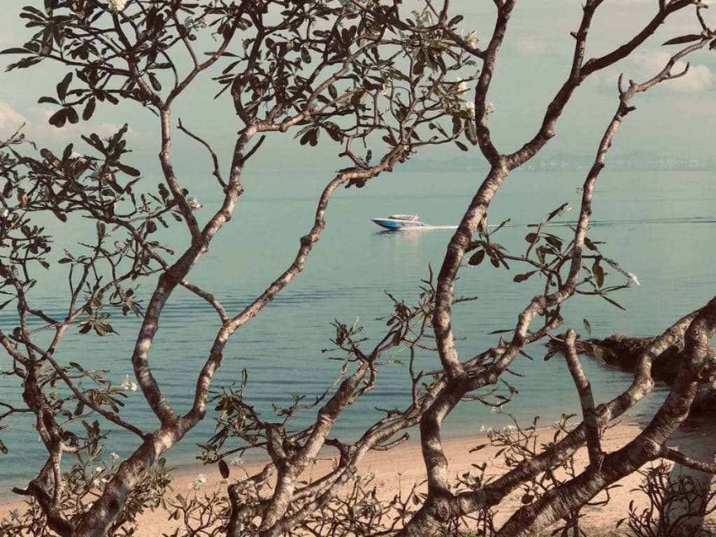 beach-beach