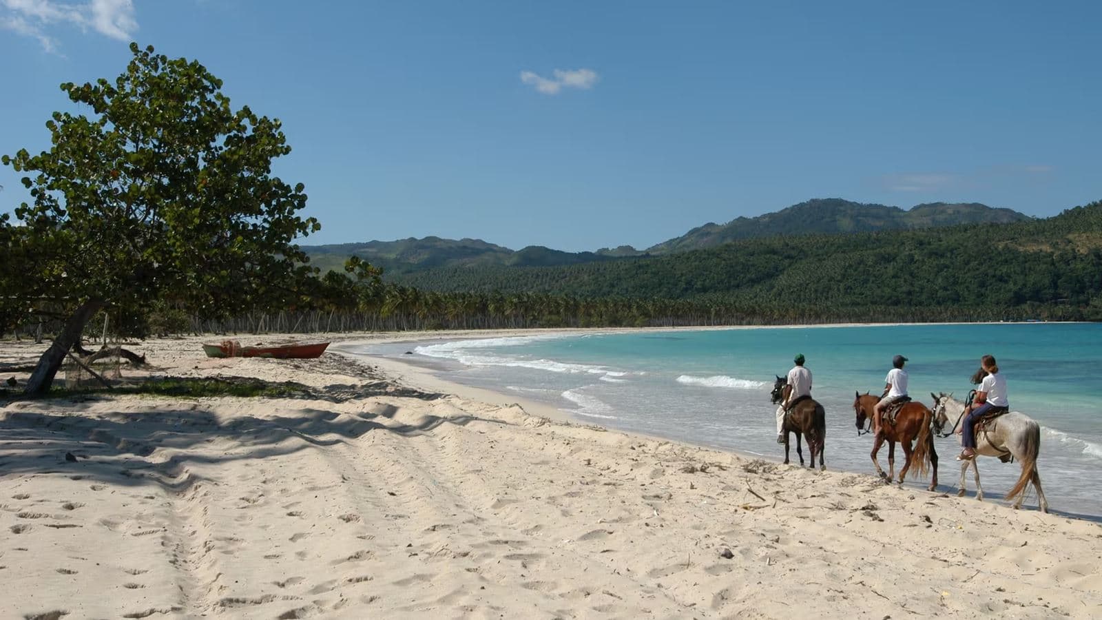beach-beach