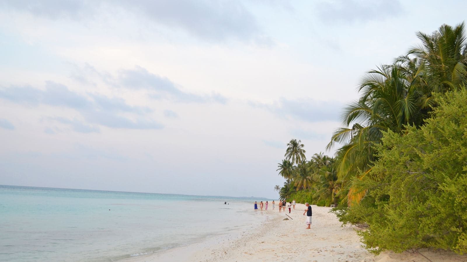 beach-beach