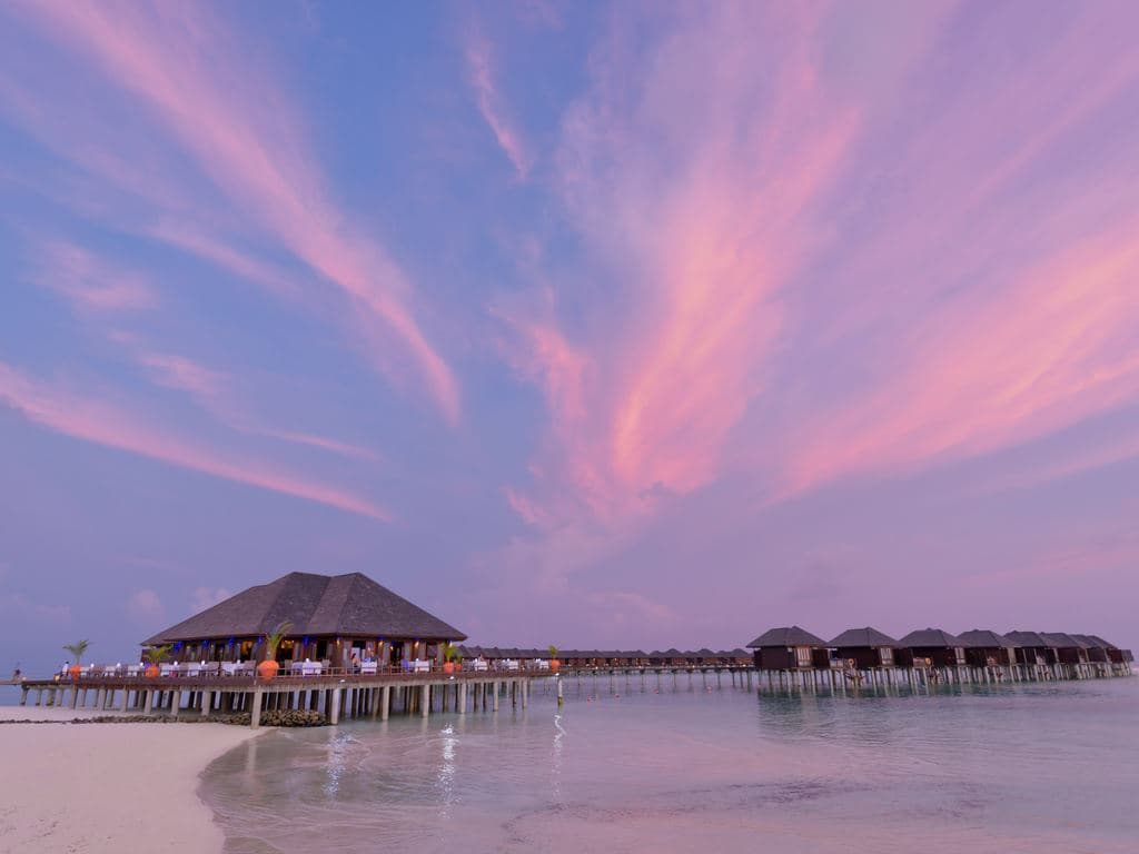 restaurants-siyam-orchid