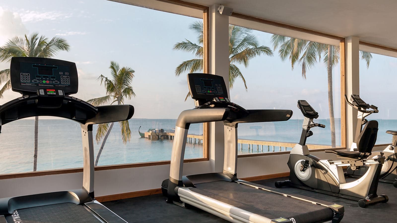 sport-sport