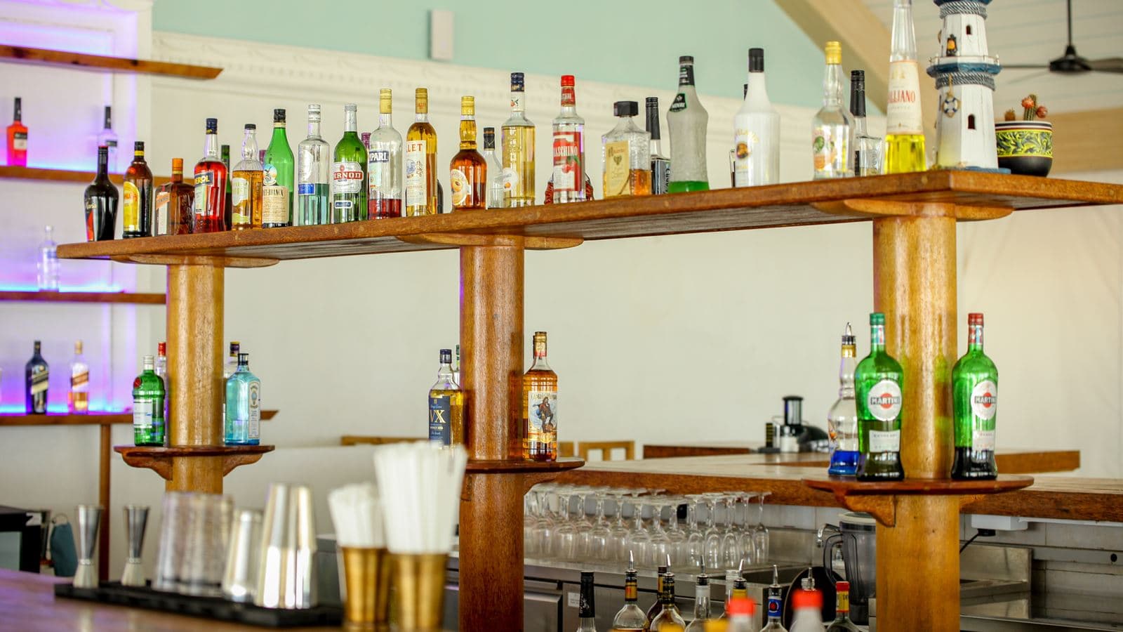 bars-dhirunbar