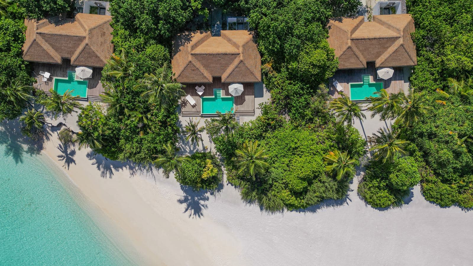 rooms-beach-villa-with-private-pool--king-villa-beach-front-private-with-pool
