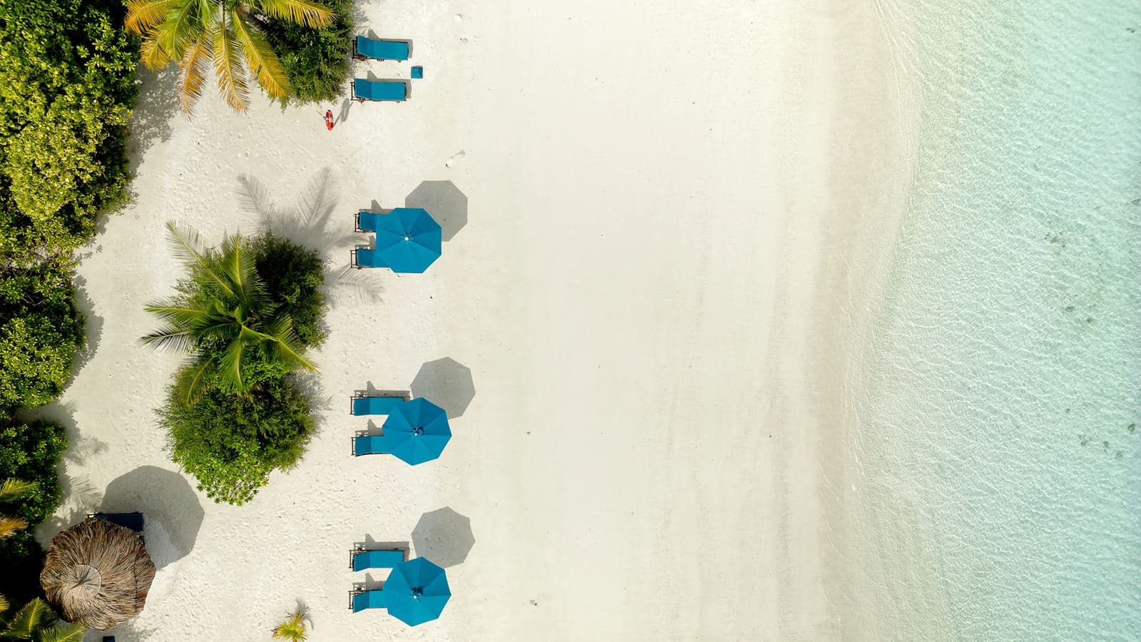bars-beach-bar