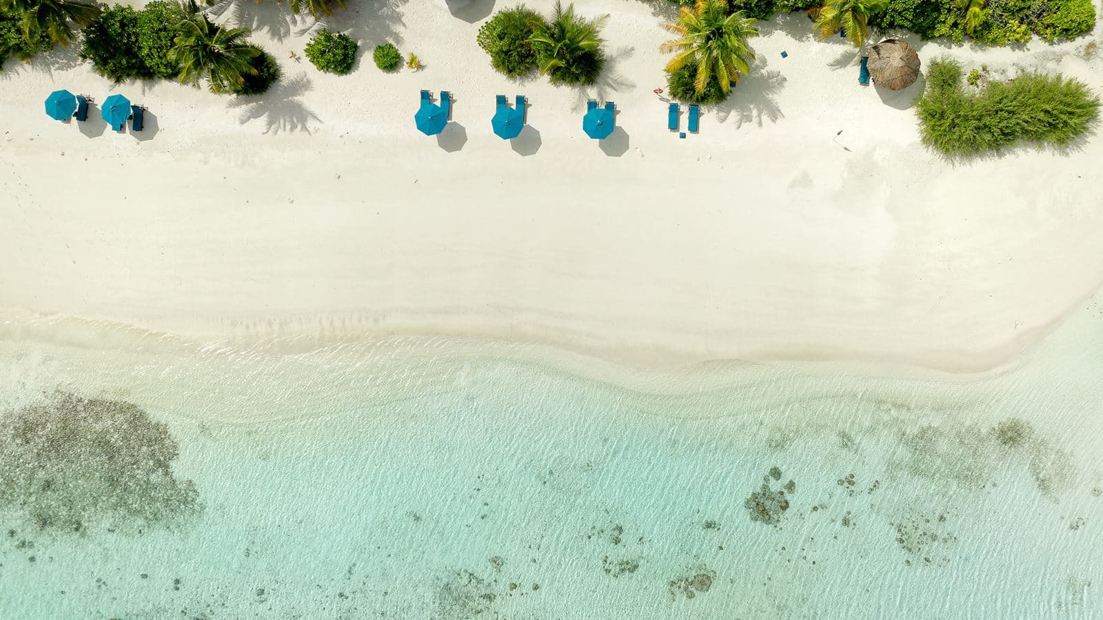 bars-beach-bar