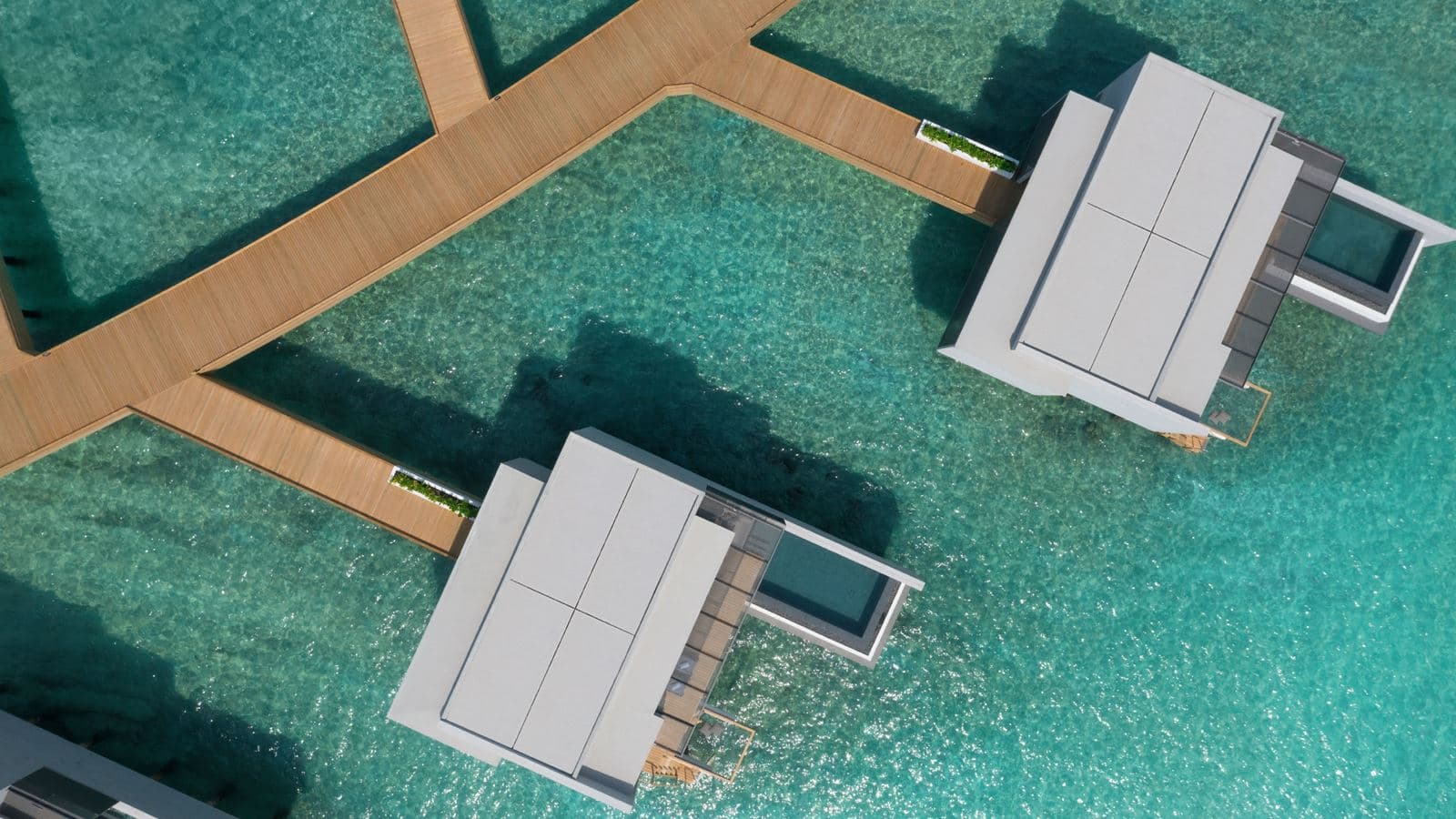 rooms-ocean-overwater-pool-villa