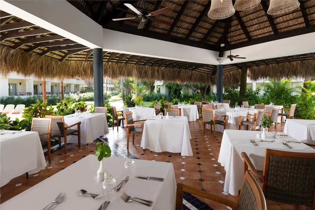 restaurants-olive-tree