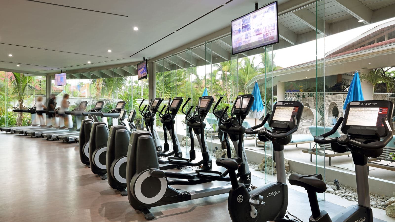 sport-sport