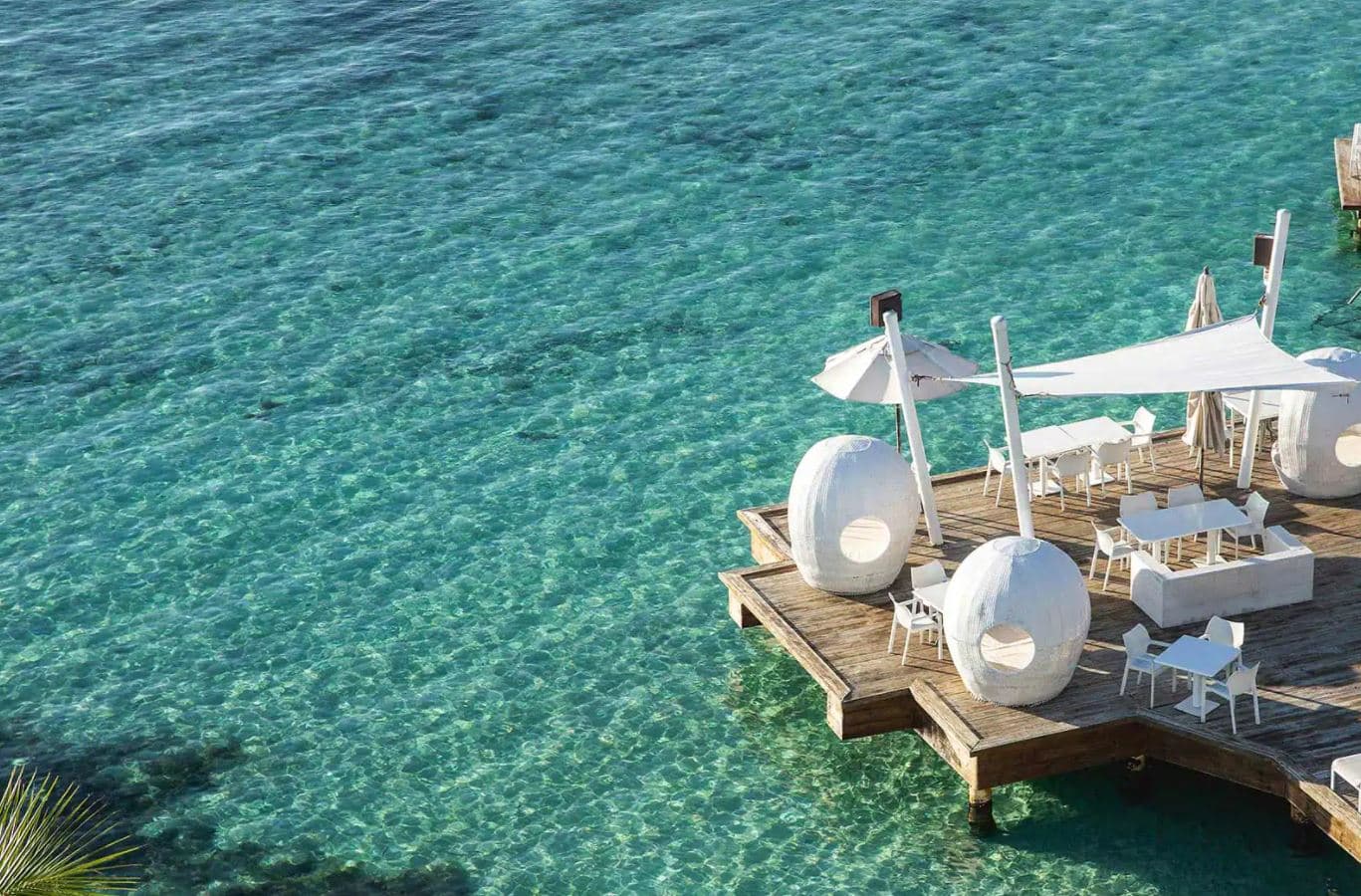 restaurants-pelicano-beach-club