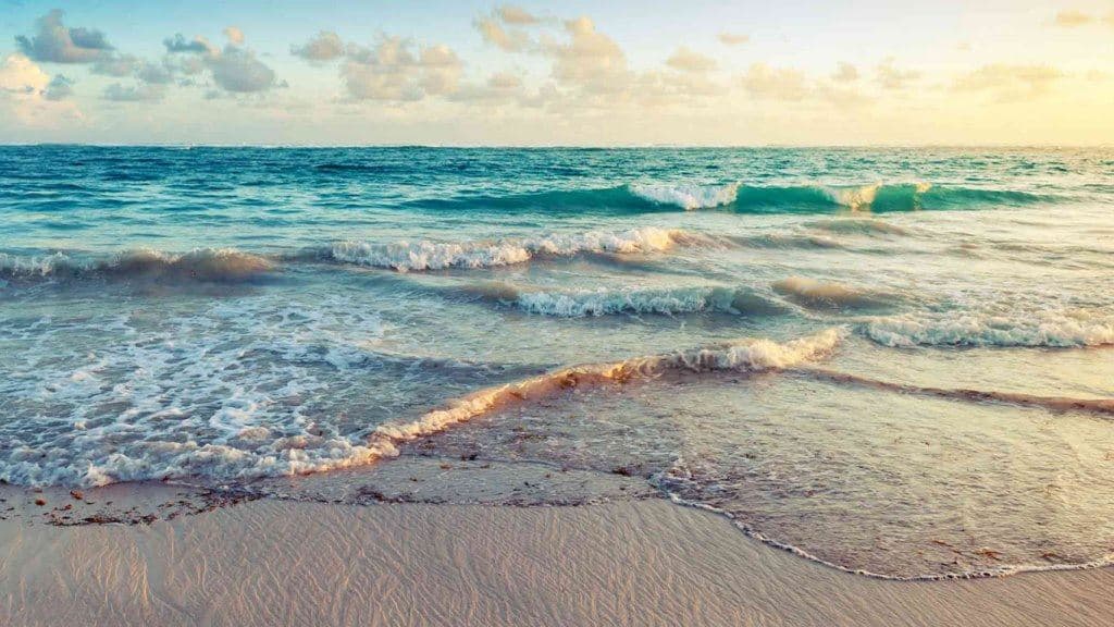 beach-beach