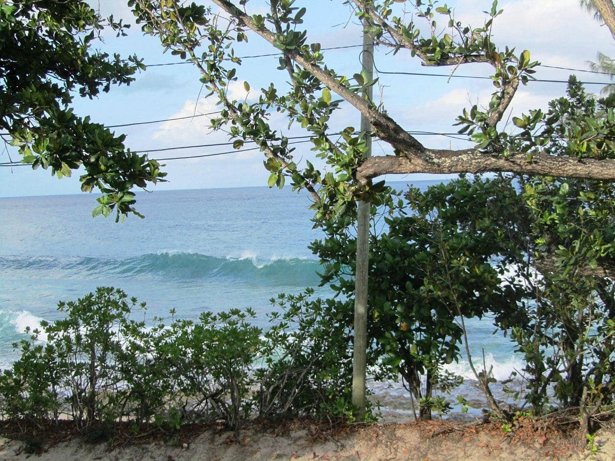 beach-beach