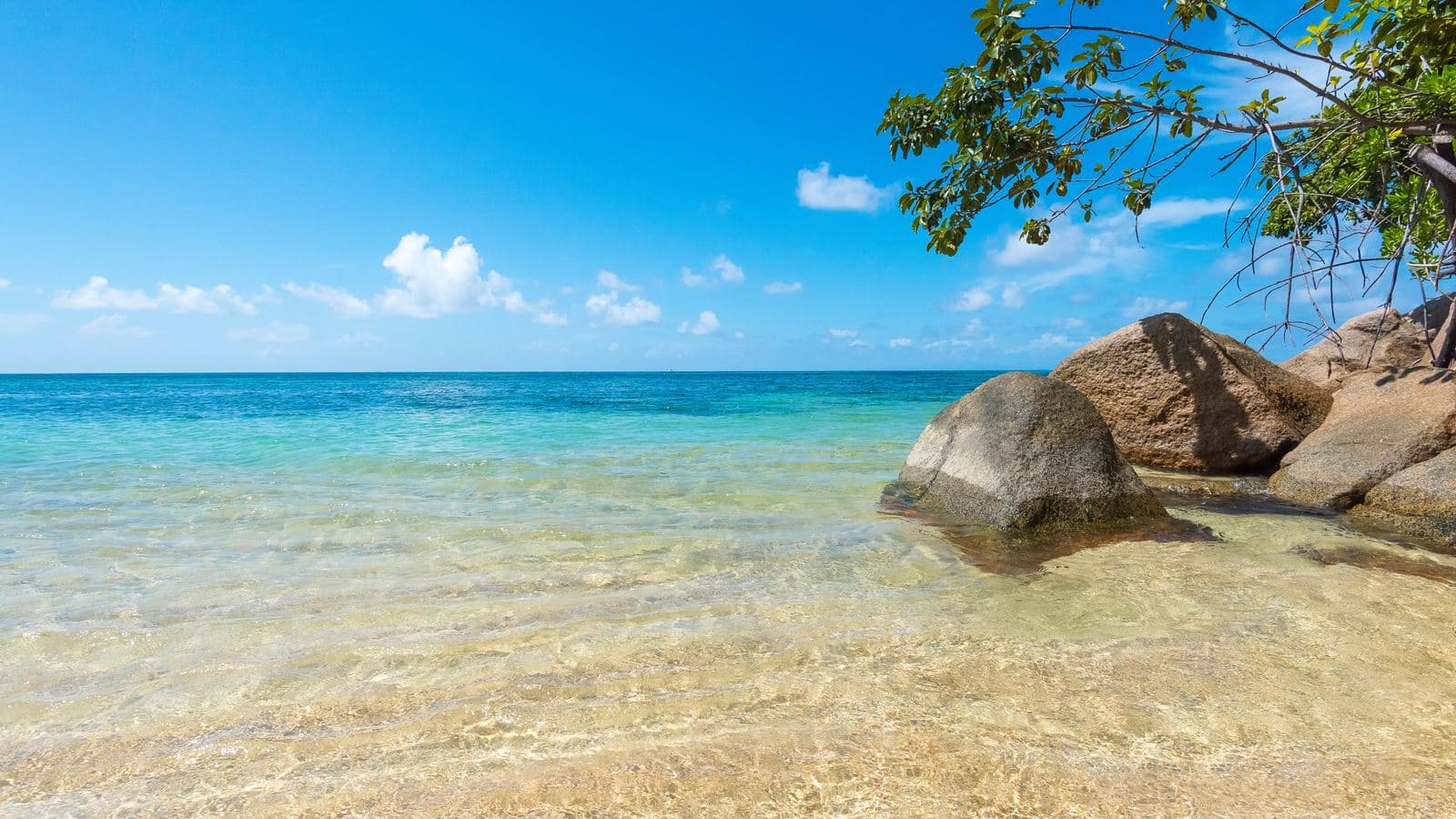 beach-beach