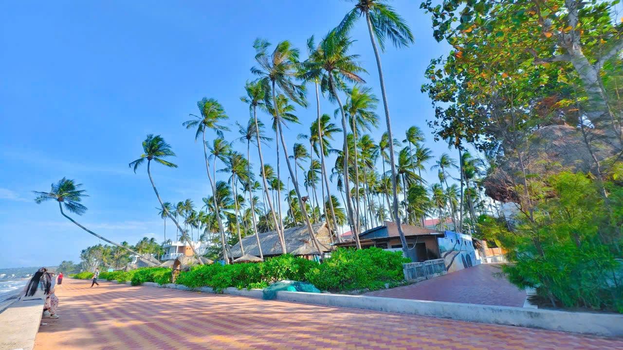 beach-beach