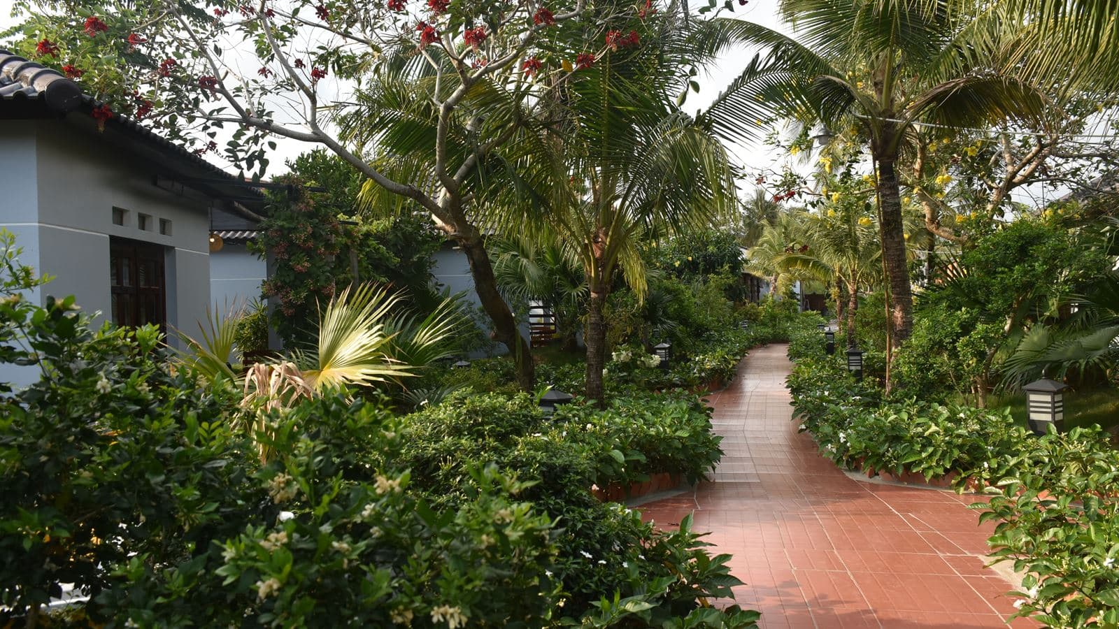 rooms-bungalow-garden-view
