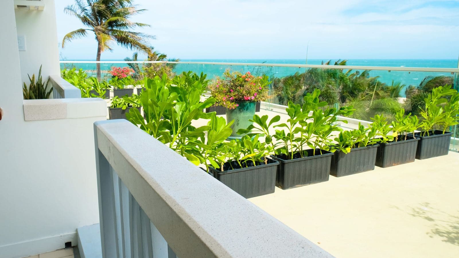 rooms-azul-sea-view