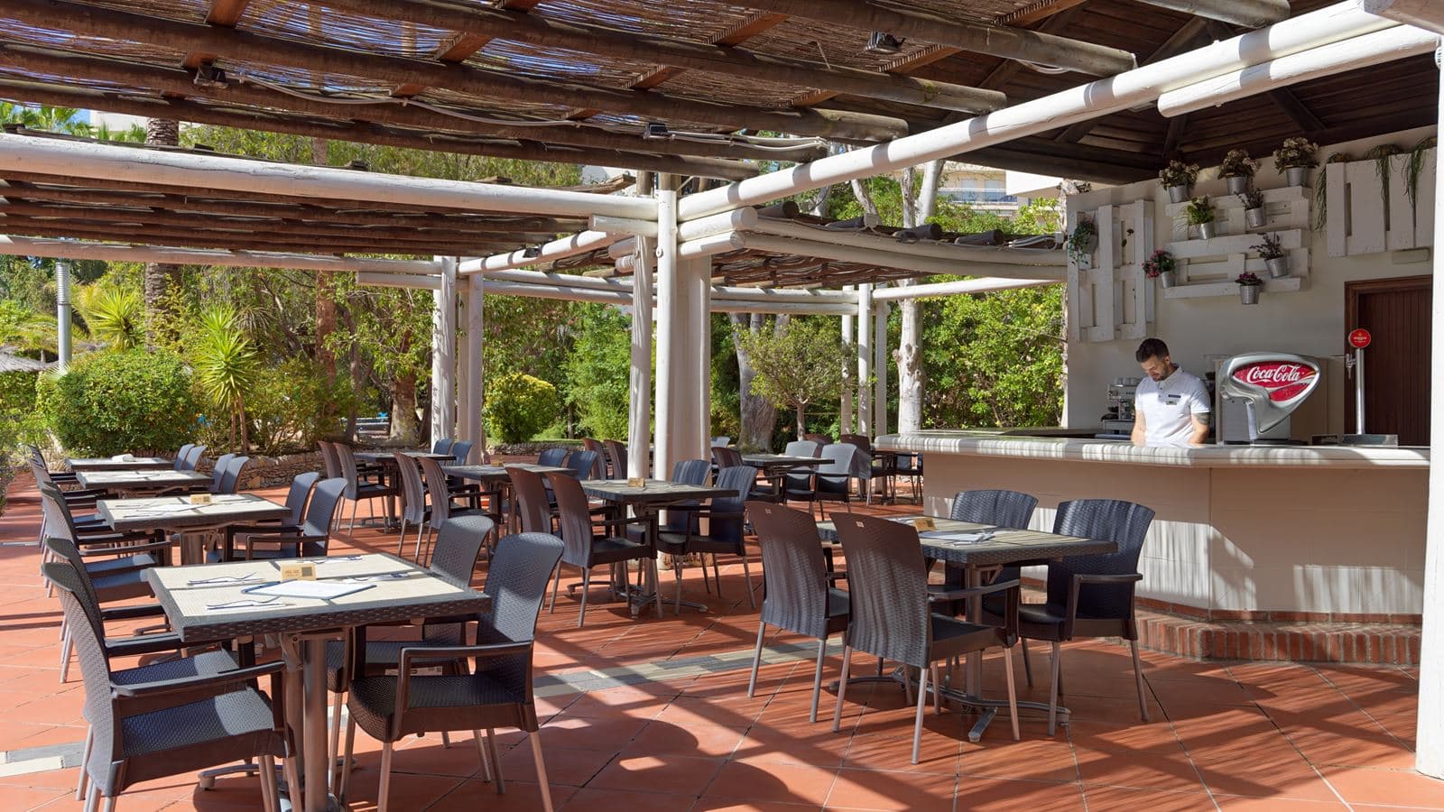 bars-salauris-bar
