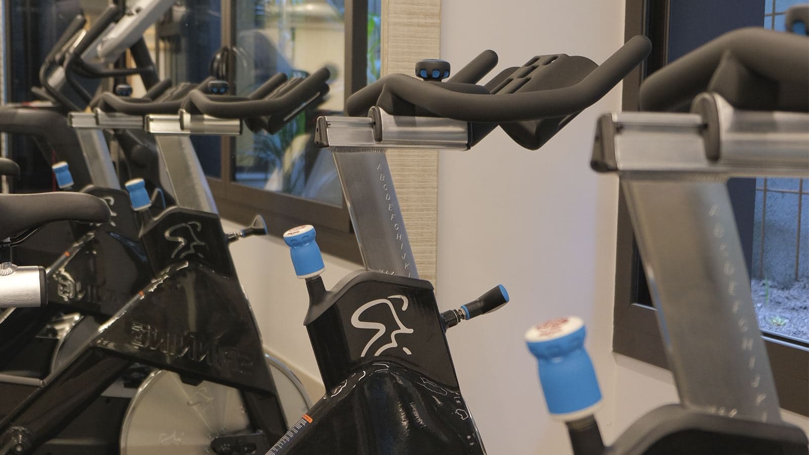 sport-sport