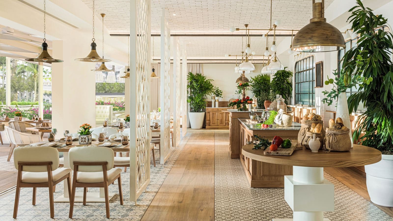 restaurants-oliva
