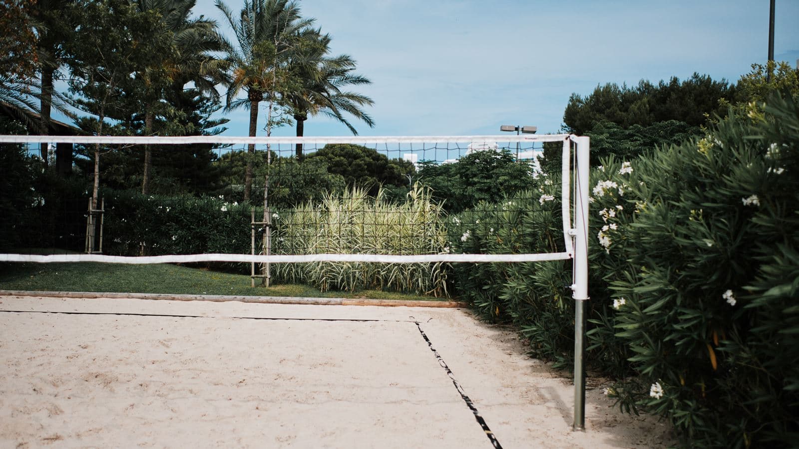 sport-sport