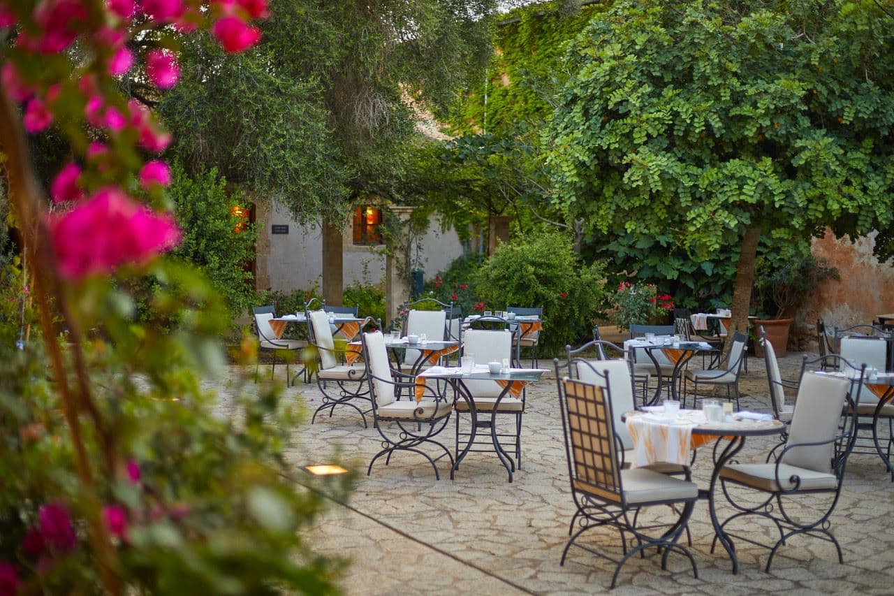bars-es-cotó-cóctel-bar