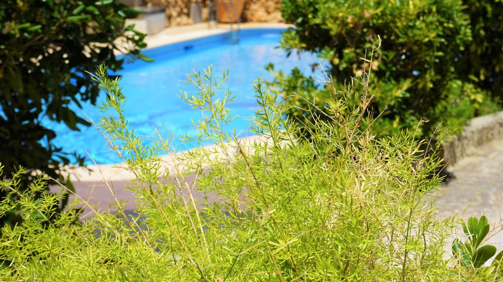 pools-pools