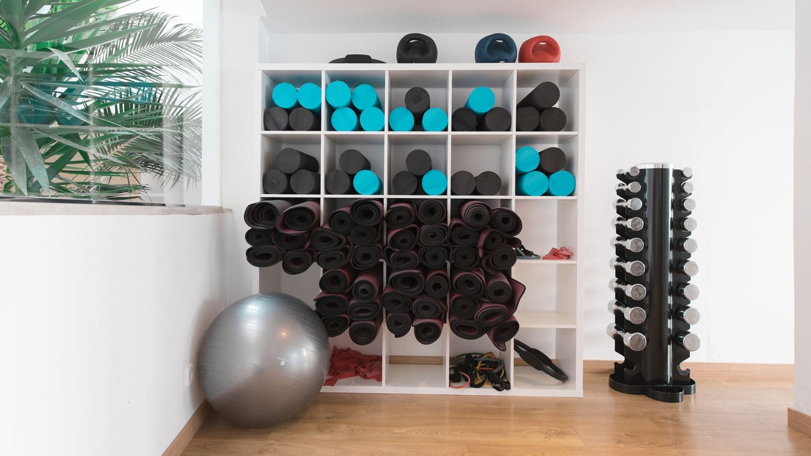 sport-sport