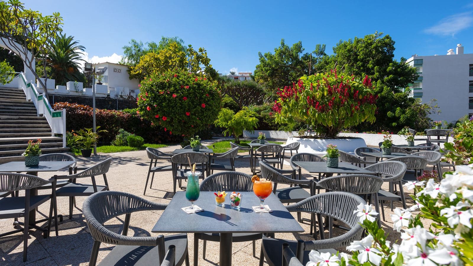 bars-cafetería