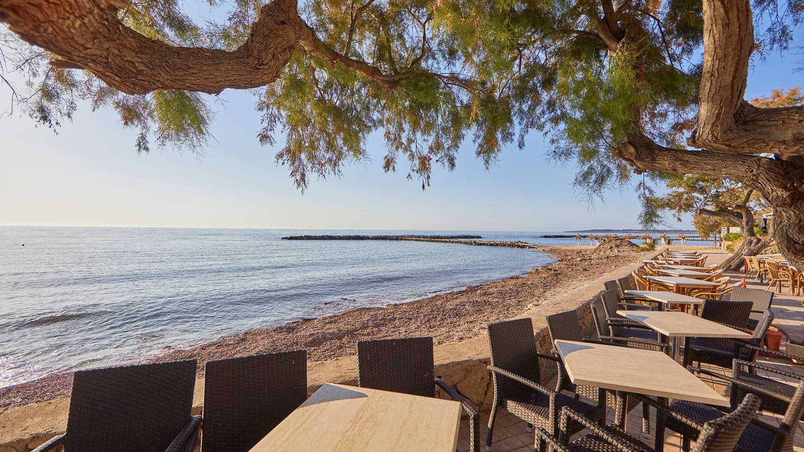 bars-bar-terrace