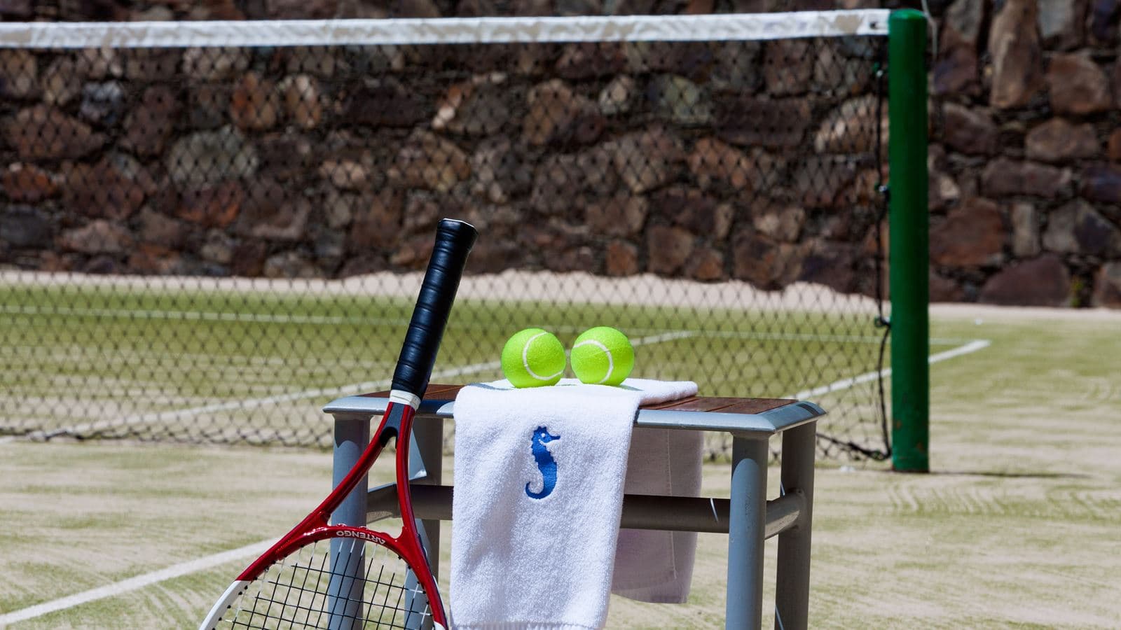 sport-sport