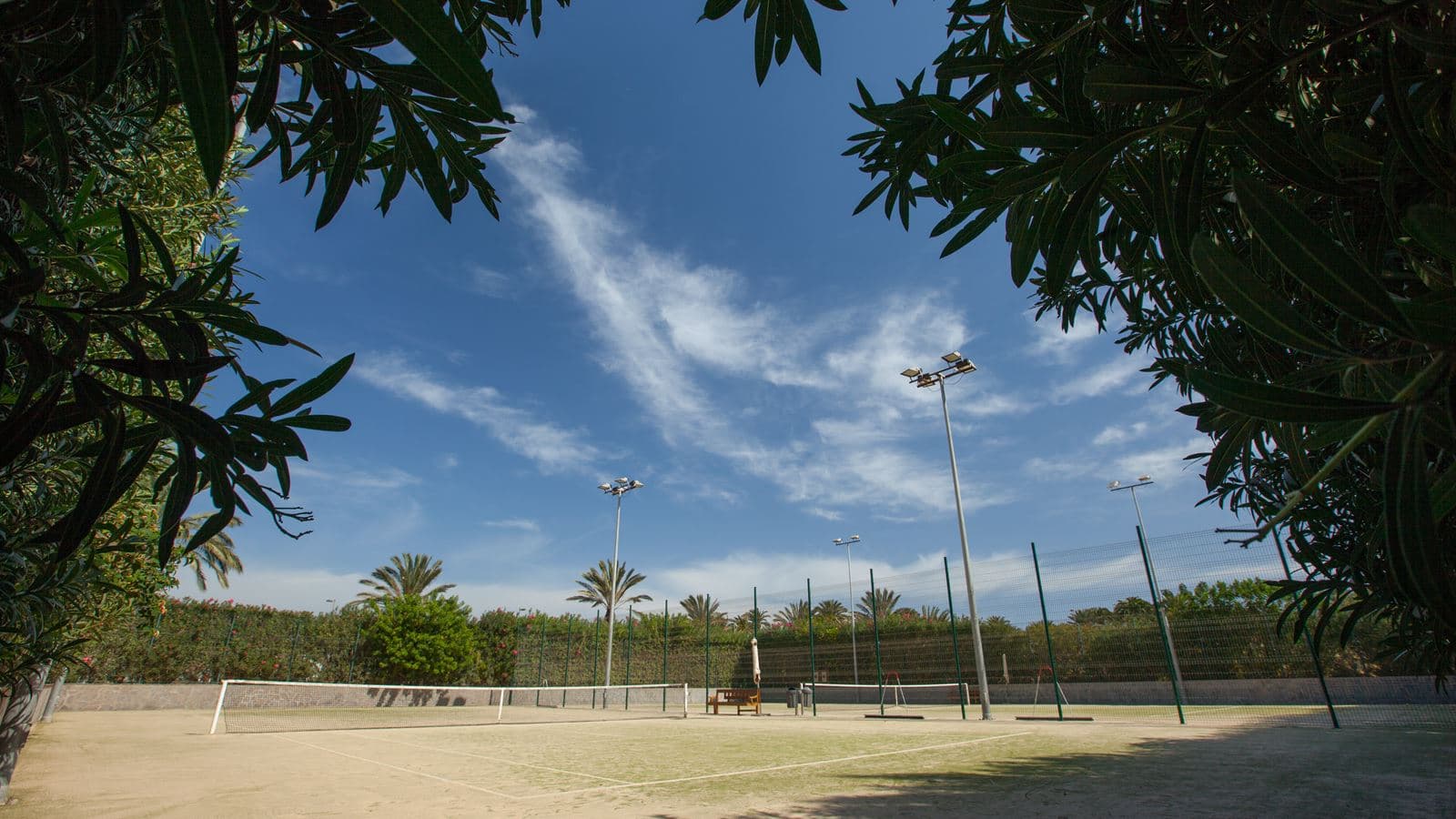 sport-sport