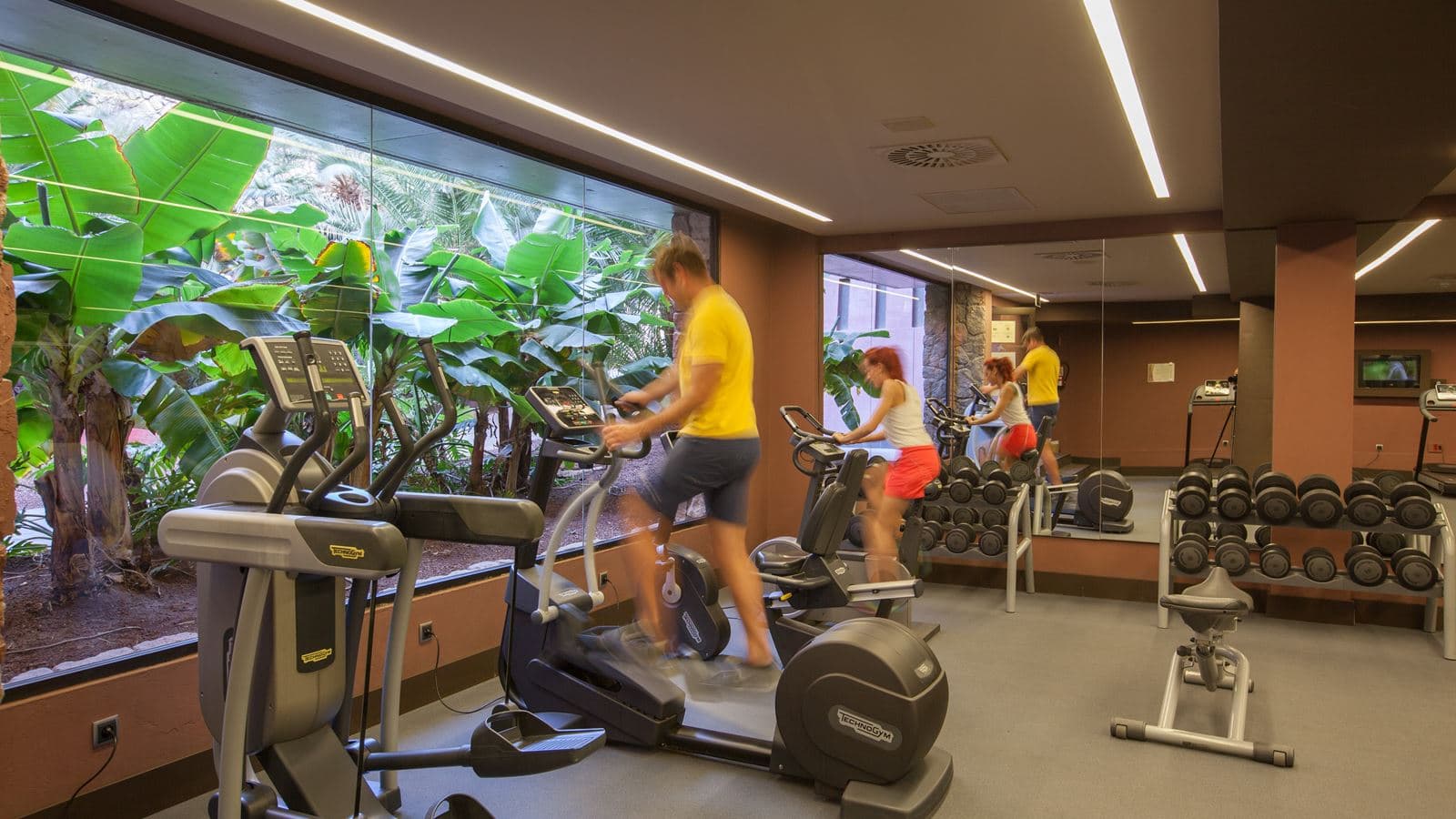 sport-sport