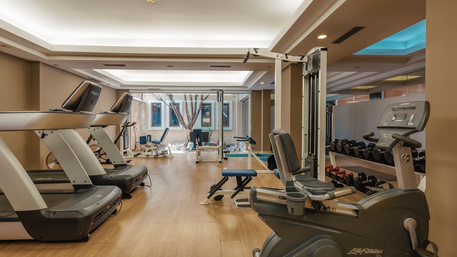 sport-sport