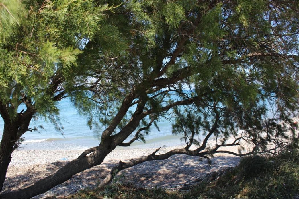 beach-beach