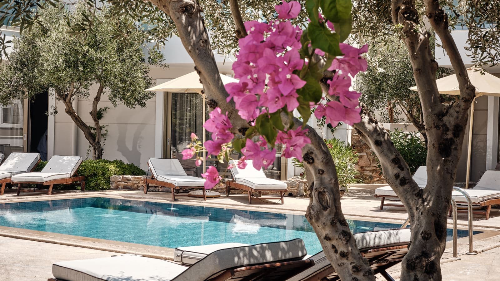 rooms-superior-double-sharing-pool-sea-view-single-use