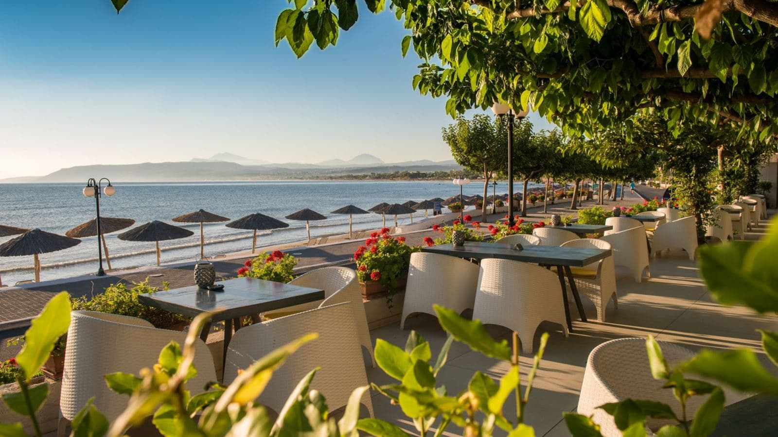 restaurants-armonia-restaurant