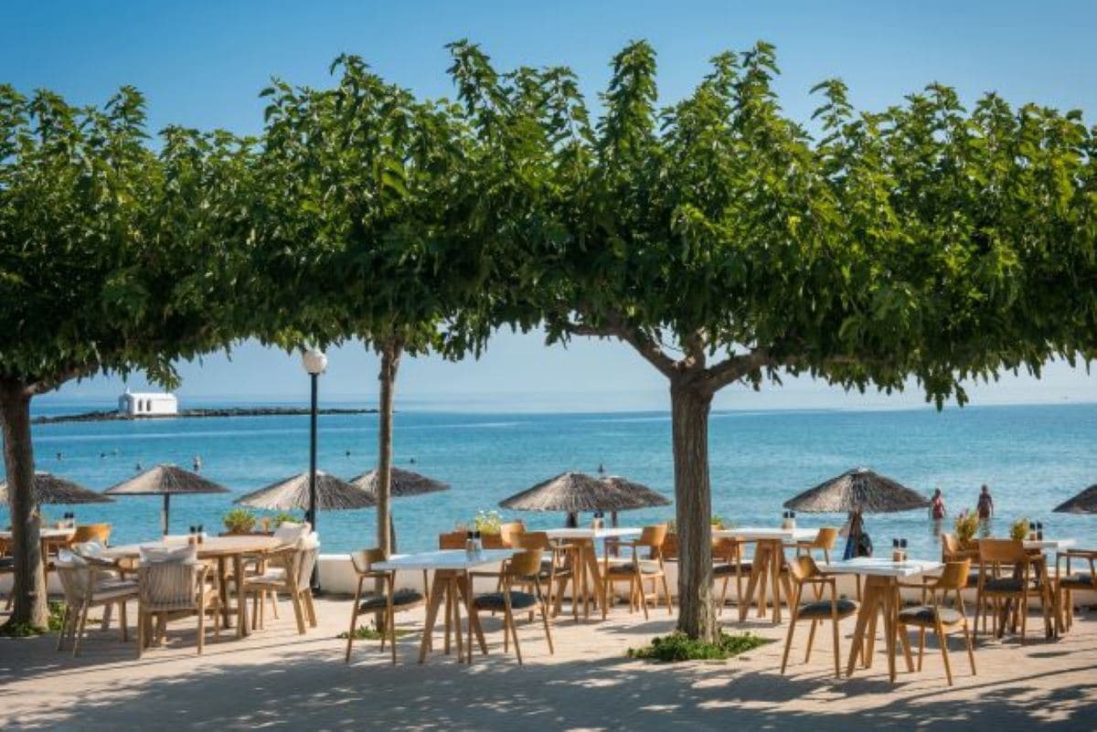 restaurants-armonia-restaurant