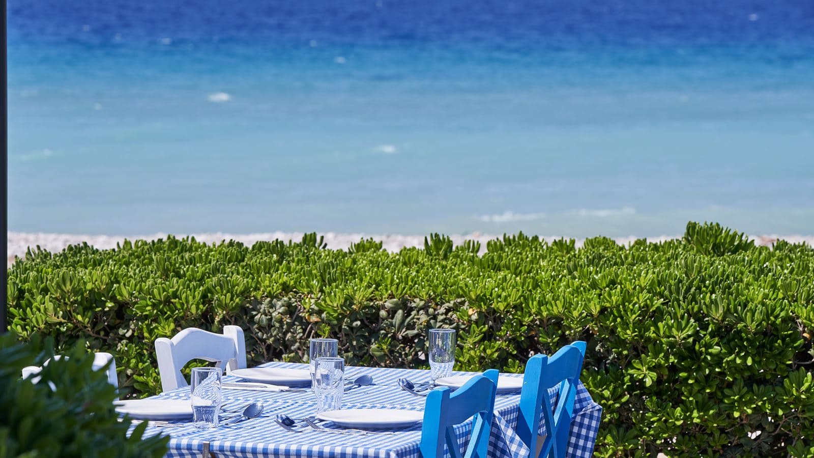 restaurants-muses