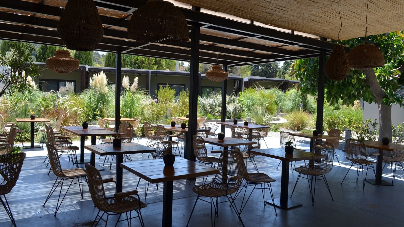 restaurants-cantina-restaurant