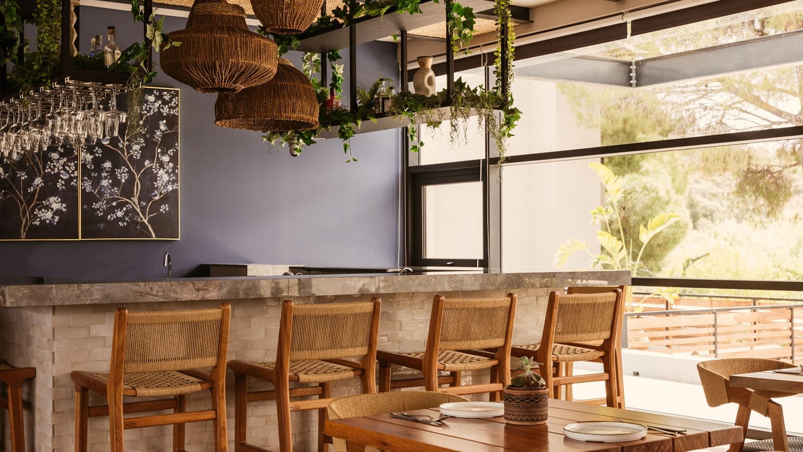 bars-cantina-bar