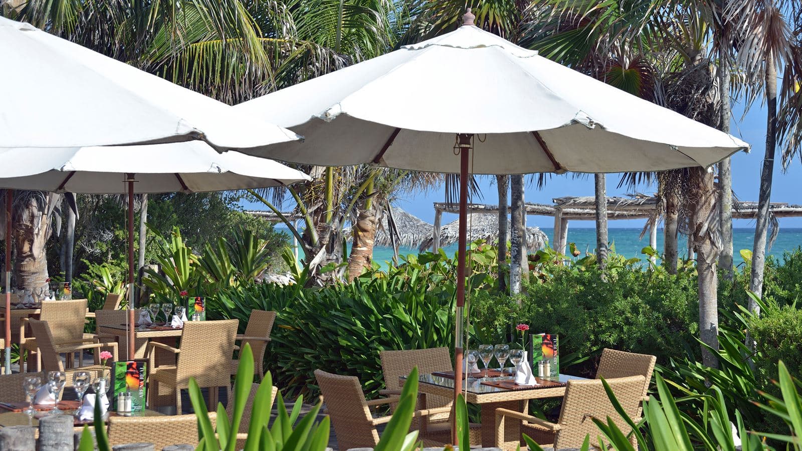restaurants-arena-real