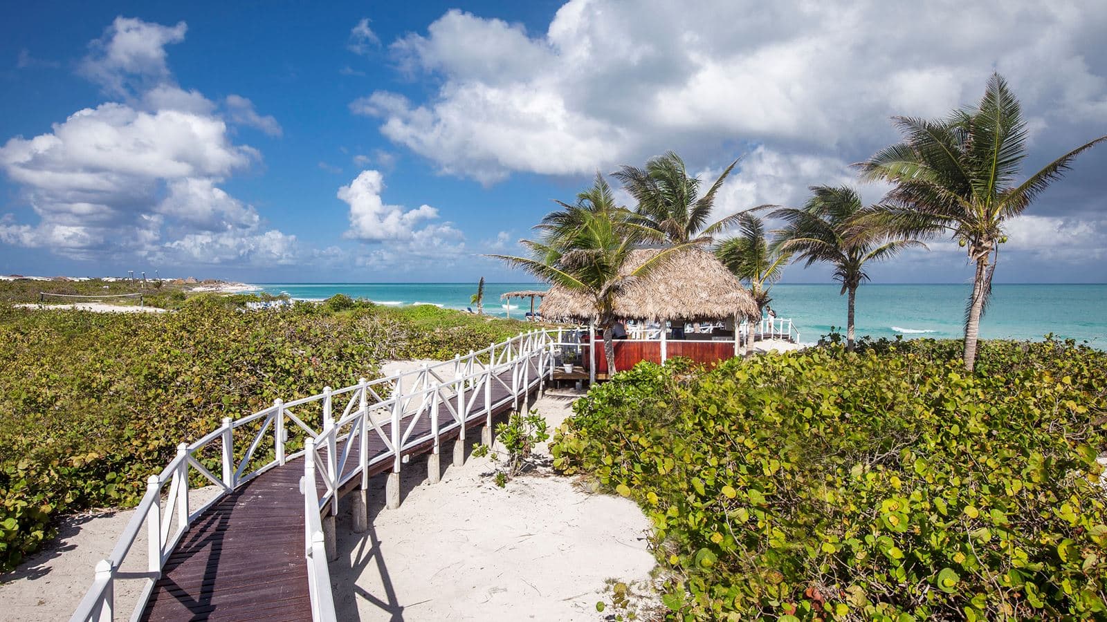bars-beach-bar