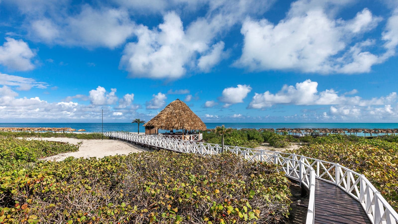bars-bar-playa