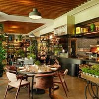 Restaurante preview