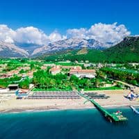 Informații generale preview