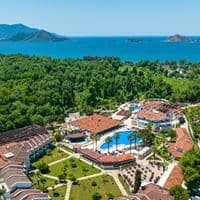 Informații generale preview