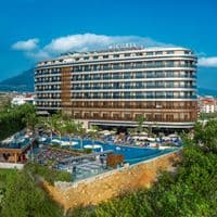 Informații generale preview